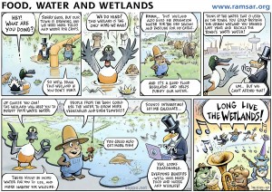 Food water and wetlands