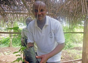 Post_Agroforestry_Man with seedling