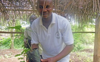 Post_Agroforestry_Man with seedling
