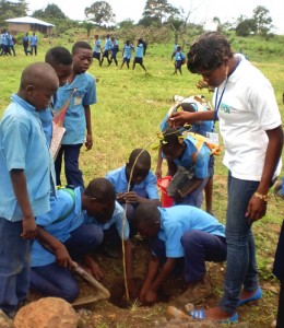 Post_Treeplanting exercise